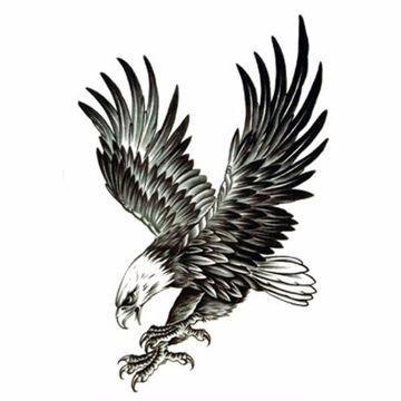 tatouage éphémère aigle