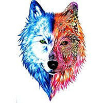 tatouage temporaire tête de loup colorée