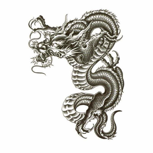 Tatouage Ephémère Grand Dragon